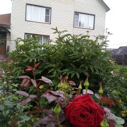 Фото Отель Камчатдар