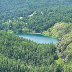 Фото Отель Алтай Эко Кедр