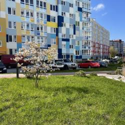 1-комнатные апартаменты студия
