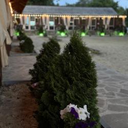 Фото Отель Белуга