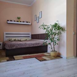 Комната комфорт с 1 двуспальной кроватью