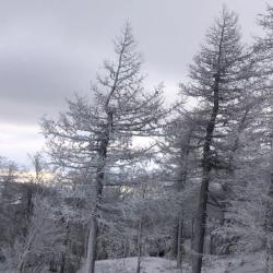 Фото Отель Apreski Бунгало на Банном (Апрески)