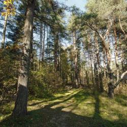 Фото Отель Княжья речка