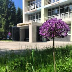 Фото Кантри-отель Берёзки