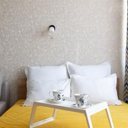 1-комнатные апартаменты улучшенные Нижний Новгород ул. Маршала Баграмяна 4