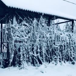 Коттедж стандарт с 1 двуспальной кроватью