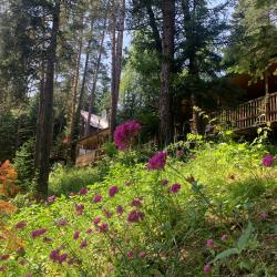 Фото Отель Solur (Солюр)