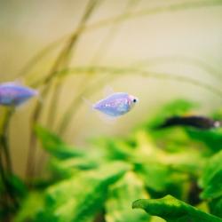 Фото Апартаменты на улице Лежневская 109