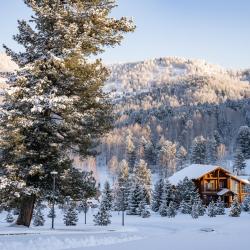 фото 8 Cosmos Collection Altay Resort (Космос Коллекшен Алтай Резорт)