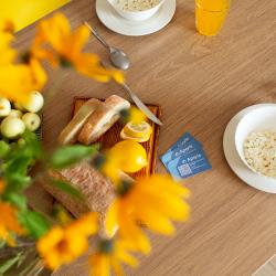 1-комнатные апартаменты студия