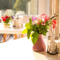 Фото Отель Гнездо