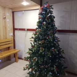 Фото Отель Коттедж на проезде Жуковского, дом 39
