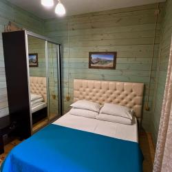 Номер стандарт семейный