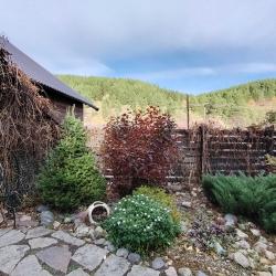 Фото Отель Горная Пчела