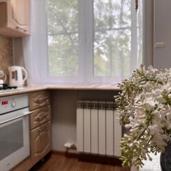 Фото Отель Apartament 52 на проспекте Бусыгина 22
