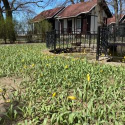 Фото Парк-отель Нобель