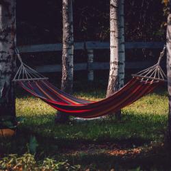 Фото Отель Маленькая Сербия