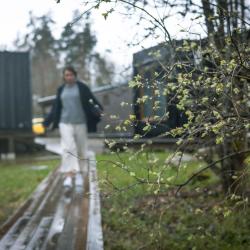 Фото Отель Уютные ёлы