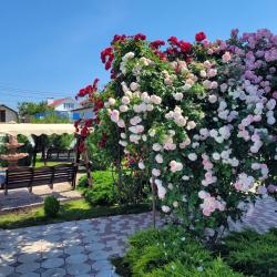 Севастопольская Усадьба — cb042e96d47aae1cc72f99d7c4f37956