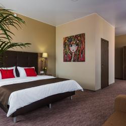 Номер полулюкс с 1 двуспальной кроватью