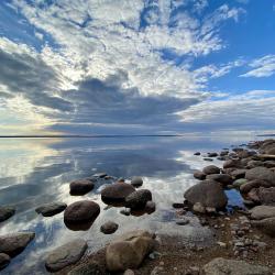 Фото Отель Финский Лес