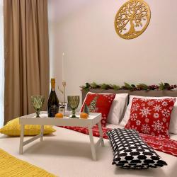 1-комнатные апартаменты люкс