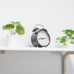 Номер стандарт с 3 односпальными кроватями