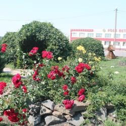 Фото Отель Роза Ветров