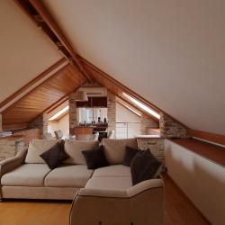 Апартаменты люкс (мансарда)