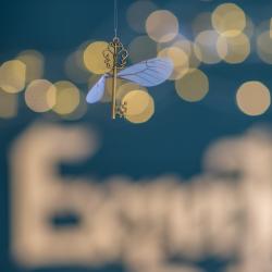 Фото Отель Гарри и философский чан