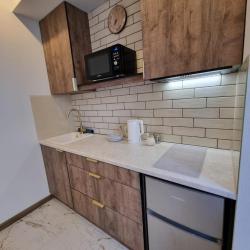 Фото Bisness апартаменты на Гостиничной улице 5