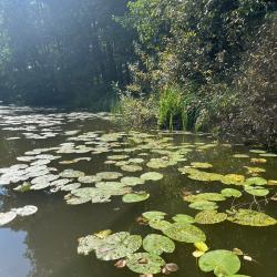 Фото Отель Энергетик