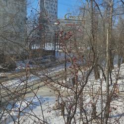 Фото Апартаменты на улице Джамбула 4