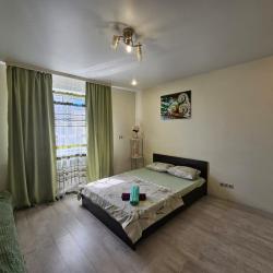 1-комнатные апартаменты студия