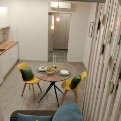 1-комнатные апартаменты студия (мансарда)