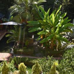 Романов — cb510b9a96df8b4c8de8864f7d8337f7