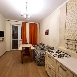 Фото Апартаменты на Московском шоссе 33к3