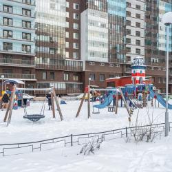 Фото Апартаменты на Комендантском проспекте 64к1
