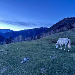 Фото Отель Koksa Camp (Кокса Камп)