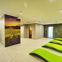 Фото SPA Hotel Vintage (СПА отель Винтаж)