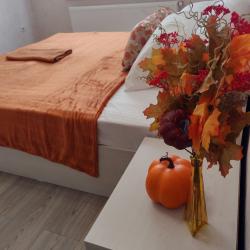 Апартаменты улучшенные Краснодарский край, Краснодар, дачное некоммерческое товарищество Новознаменский, Центральная ул., 20