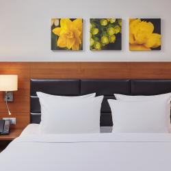 Hilton Garden Inn Kaluga (Хилтон Гарден Инн Калуга) — cb919ddff028a4ea796abe977cfe745d