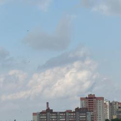 Фото Апартаменты на улице Мориса-Тореза 79