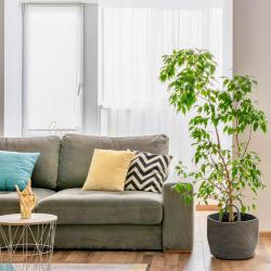 2-комнатные апартаменты стандарт