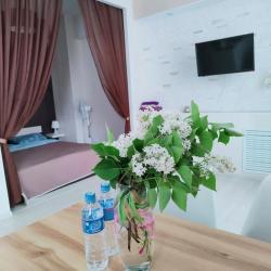 Фото Апартаменты на проспекте Ленина 5