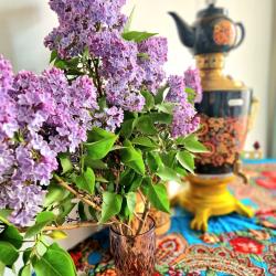 Фото Отель У Лукоморья