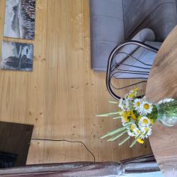 Фото Отель Green Land (Грин Лэнд)