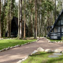 Фото Отель VIEW GA Симагинское озеро (VIEW GA Simaginskoye lake) (бывш.VIEW GA Wild Forest)