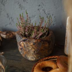 Апартаменты студия