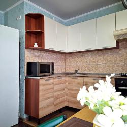 1-комнатные апартаменты студия Г.Чебаркуль, ул.Карпенко, д. 4в, кв.65 (мансарда)